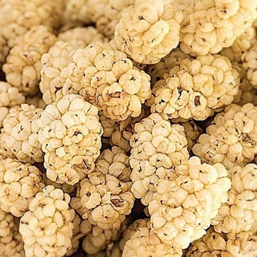 morwa-suszona-bez cukru