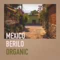 MEXICO BERILO ORGANIC