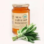 Miód SZAŁWIOWY z Peloponezu - 480 g